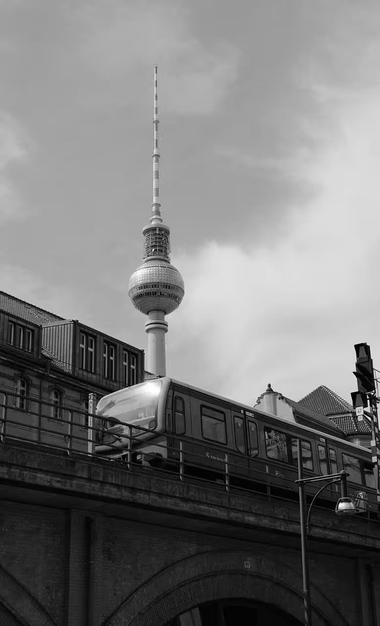 Image by Alan Kraus from Pixabay